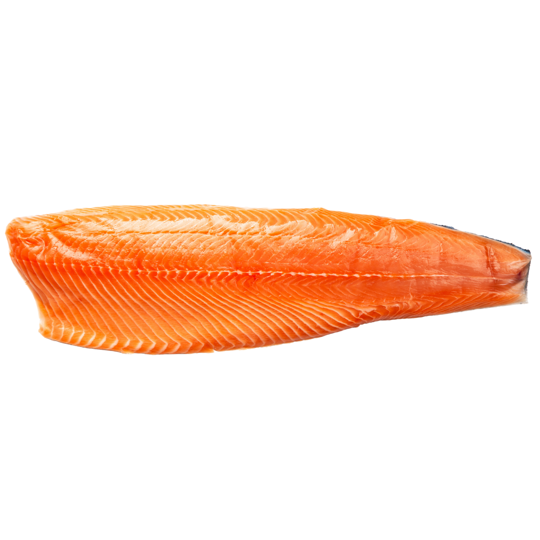 Arctic Char Fillet