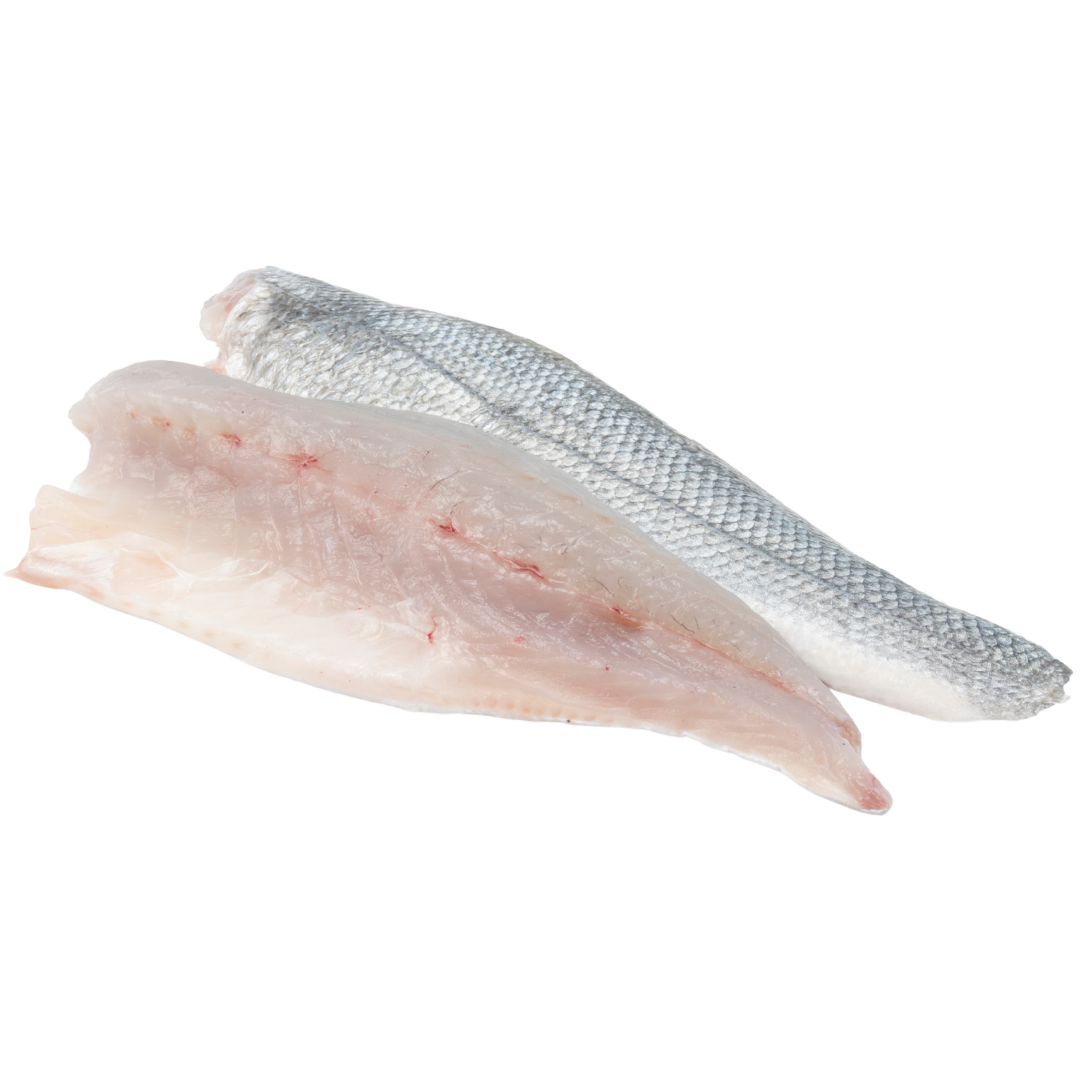 Branzino Fillet