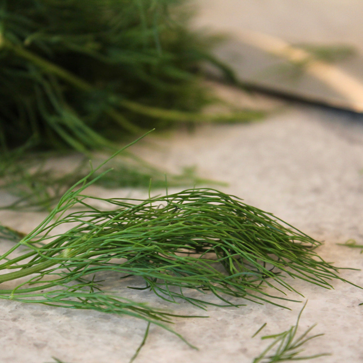 KFP Fresh Dill