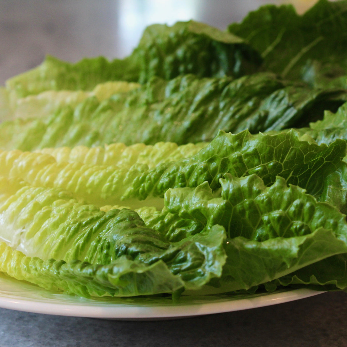 KFP Fresh Romaine Lettuce