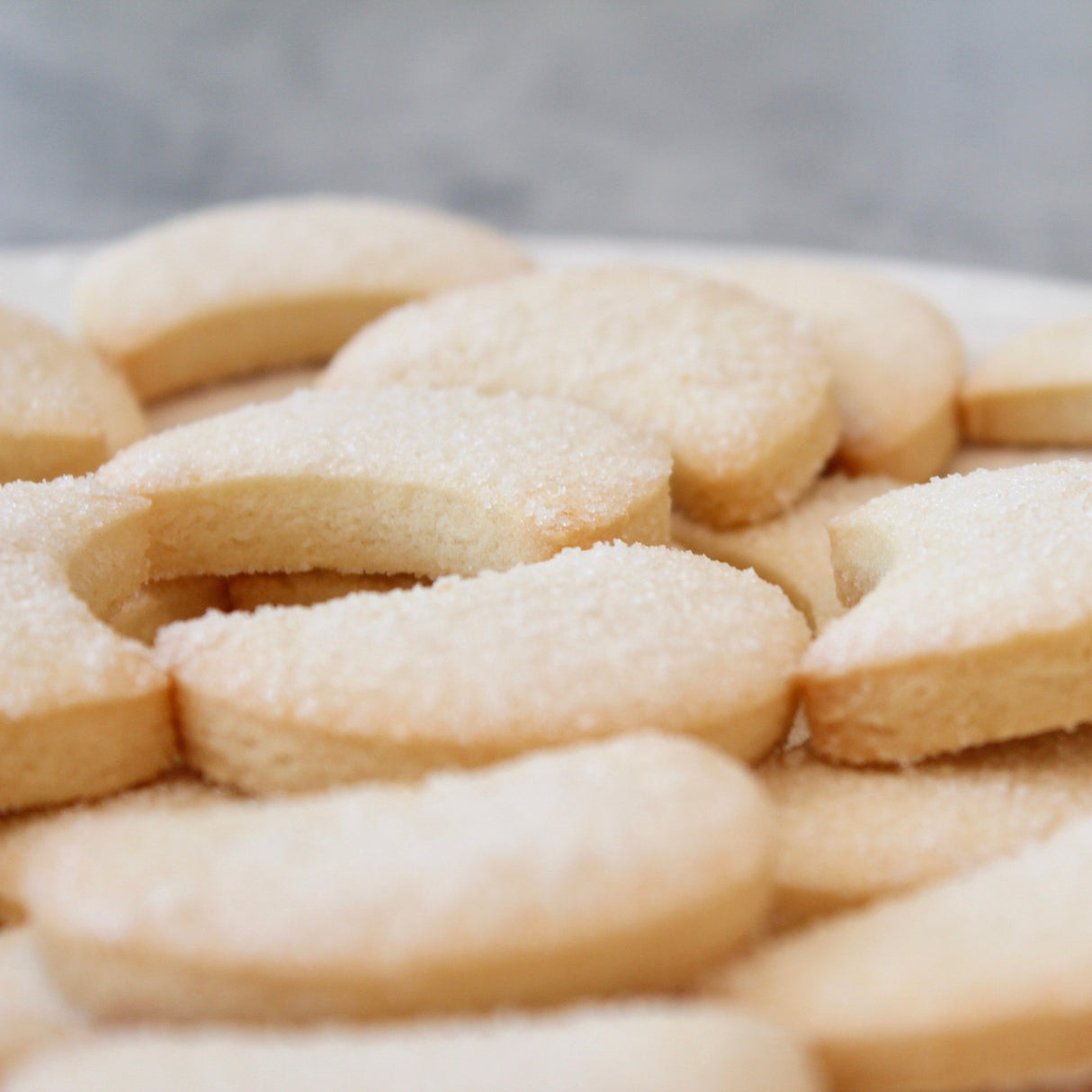 Sugar Cookies