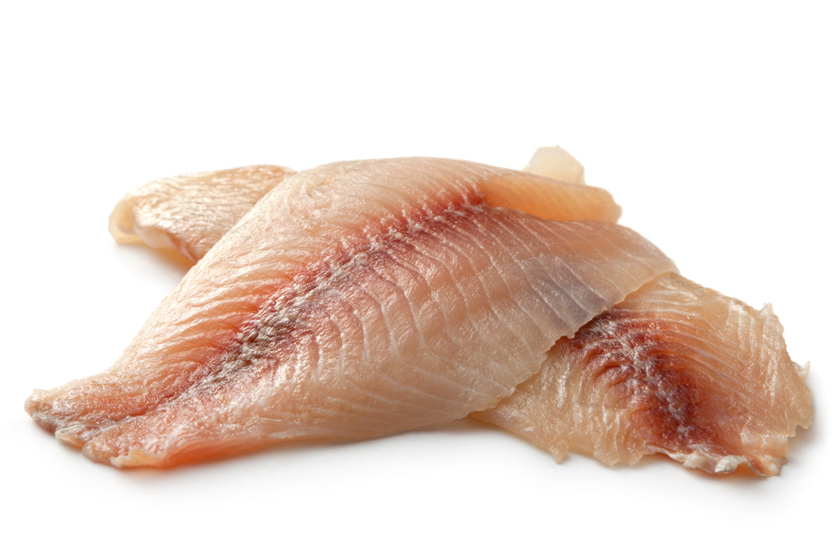 Premium Tilapia Fillet