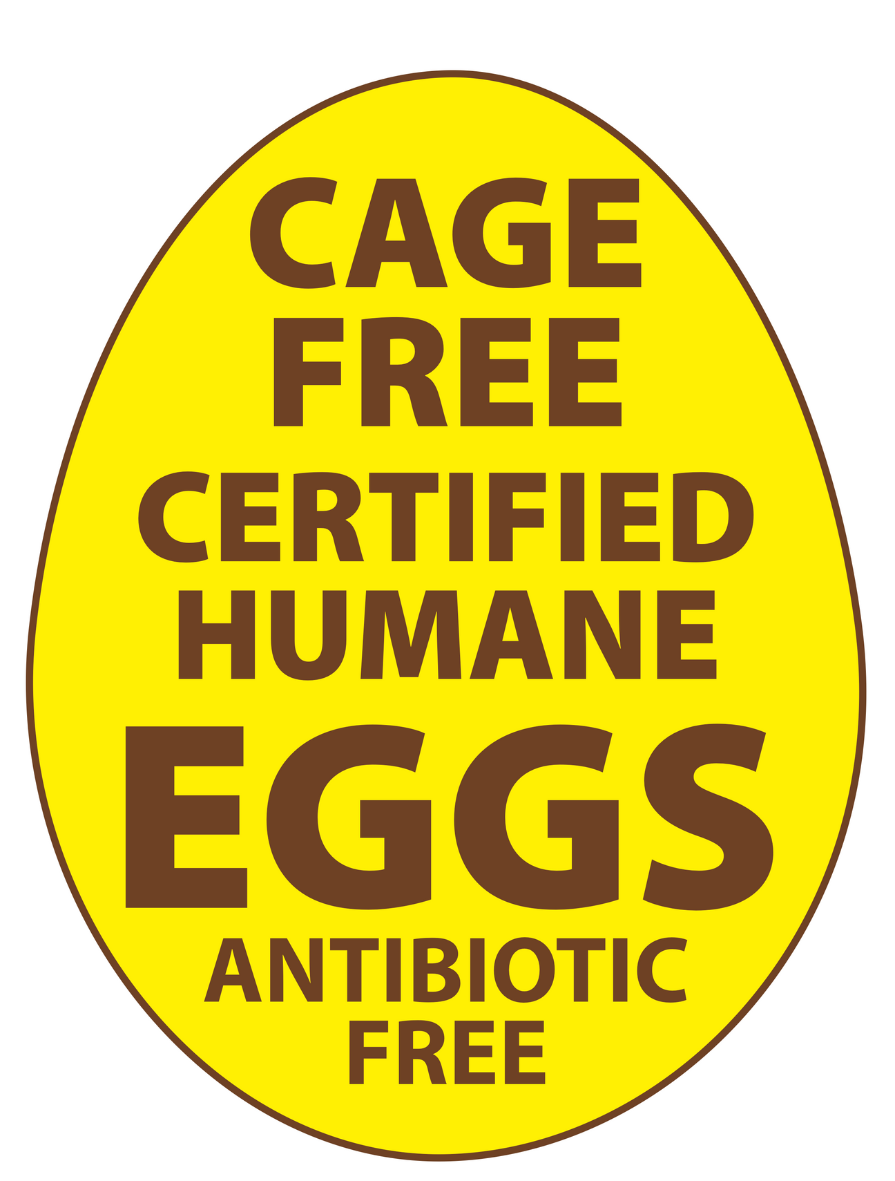 Cage Free, Certified Humane & Antibiotic-Free Eggs