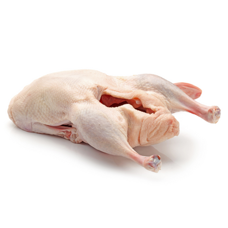 Specialty Pekin Duckling