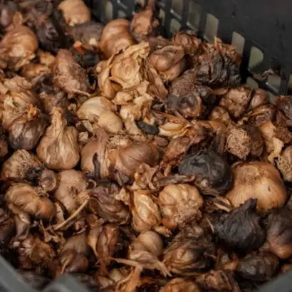 Burlap & Barrel Black Garlic - Single Origin Spice & Seasoning