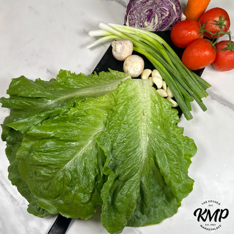 Fresh Romaine Lettuce