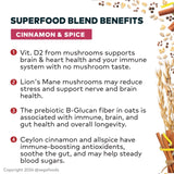 ZEGO Organic Oatmeal Superfood Blend: Cinnamon & Spice