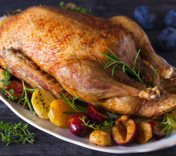 This is a picture of a turkey