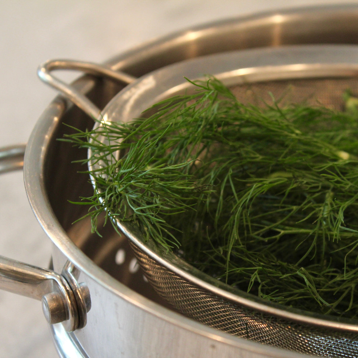 KFP Fresh Dill