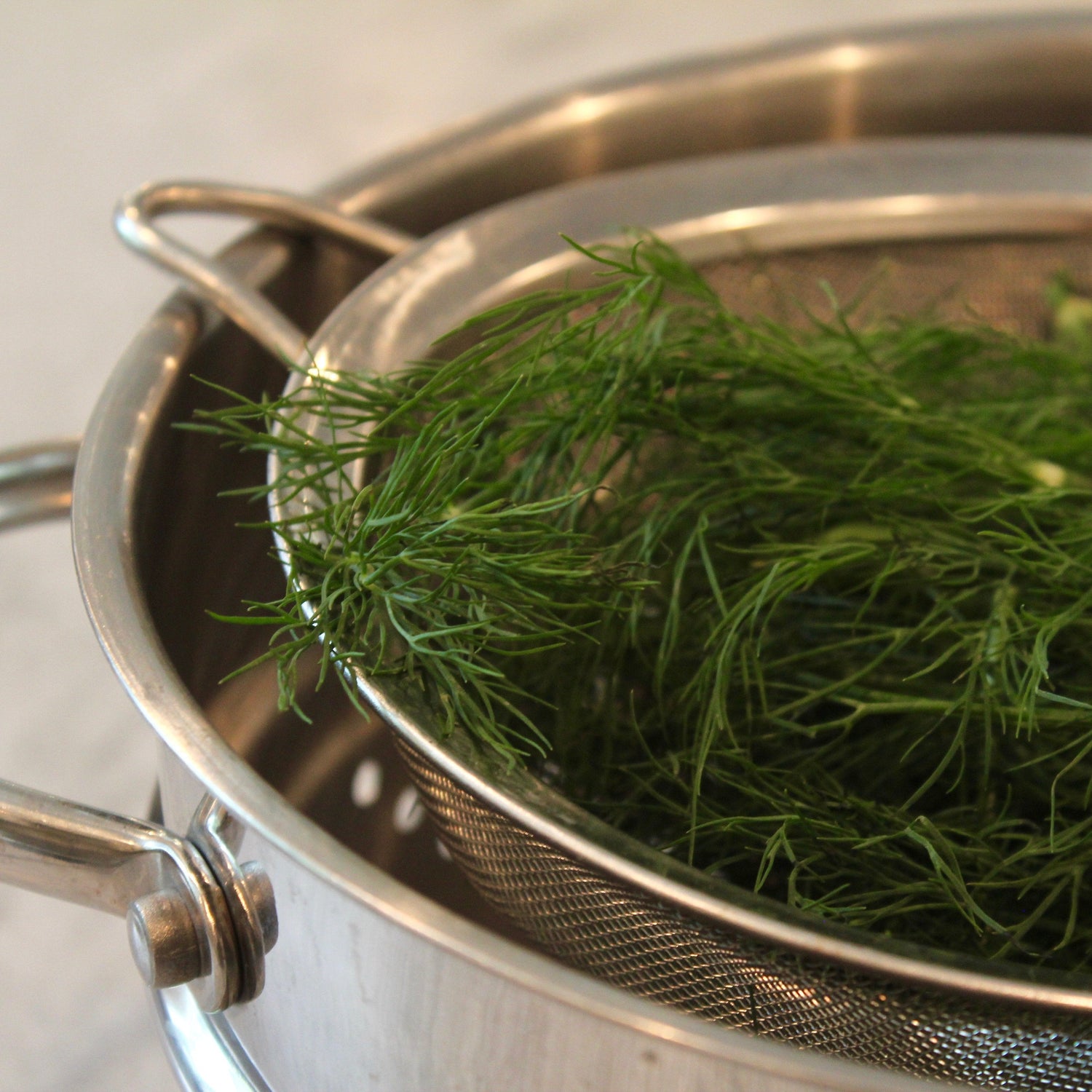 KFP Fresh Dill