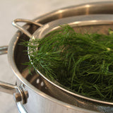KFP Fresh Dill