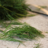 KFP Fresh Dill