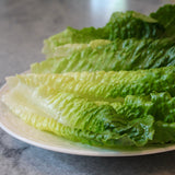 KFP Fresh Romaine Lettuce
