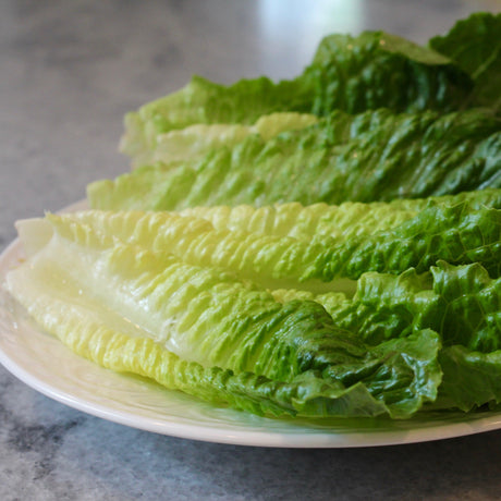 KFP Fresh Romaine Lettuce