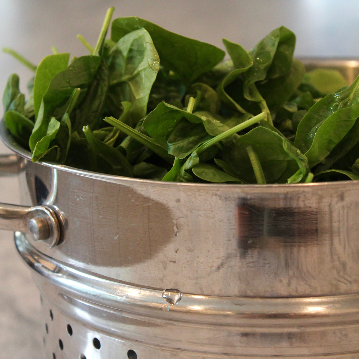 KFP Fresh Baby Spinach