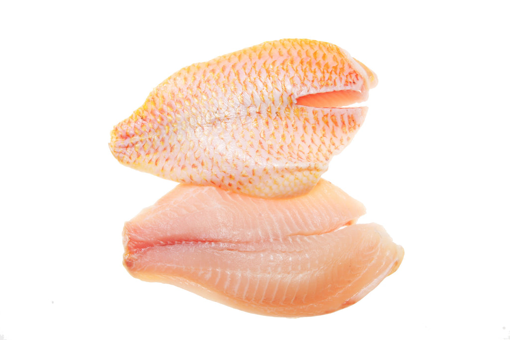 The Kosher Marketplace | Red Snapper Fillet